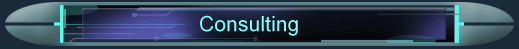 Consulting